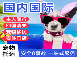福成航空托运国际宠物托运 【国